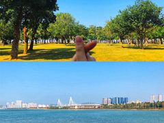 -万绿园