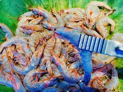 -阪尚皇·原切牛排·烤肉火锅自助(北京路店)