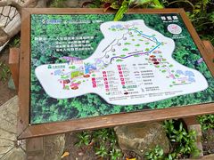 -野象谷景区