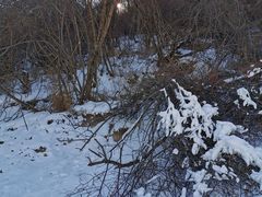 -鳌山滑雪度假区