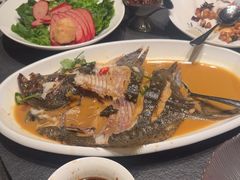 -味到1981日照海鲜·渔饺子