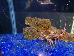 -海合安武汉极地海洋公园