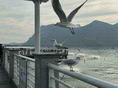 -海埂大坝