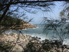 -广东惠东海龟国家级自然保护区