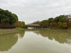 -上海海湾国家森林公园