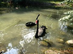 -北京麋鹿生态实验中心