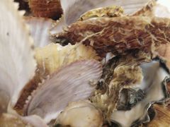 -北方饺子王·海肠捞饭·海鲜锅(山大店)