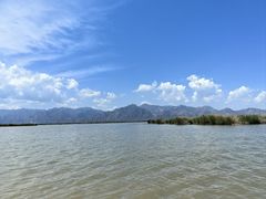 -哈素海