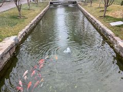 -春风习习