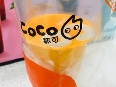 -CoCo都可(中闽嘉禾店)