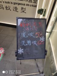 -蚂蚁造型俱乐部