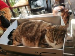 -咖法森林·咖啡  酒吧(天河店)