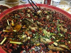 -东吴霸王兔(松青路店)
