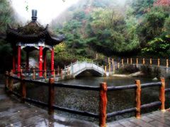 -王顺山国家森林公园