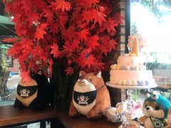 西柚苏打-柴犬高等学院·狗咖·柴犬售卖·宠物训练