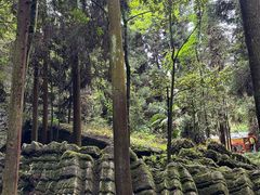 -梭布垭石林景区