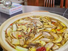 野生菌-江川野生菌火锅铜锅鱼(贵清火锅店)
