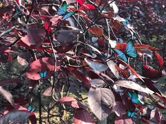 -滨河世纪广场公园