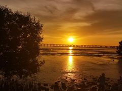 -宝安西湾红树林湿地公园