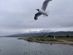 -青海湖国家重点风景名胜区