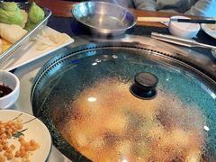 -挂雪铁锅炖大鹅