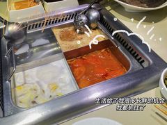 -海底捞火锅(吾悦国际广场店)