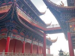 -东莞市大岭山森林公园