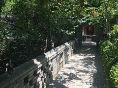 -老张烤羊(王哥庄店)