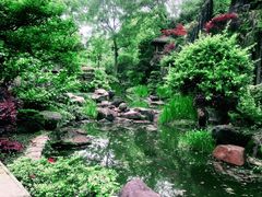 -南山植物园