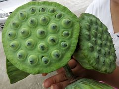 -老杨砂锅鱼庄