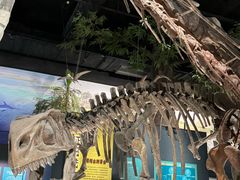 -国家自然博物馆