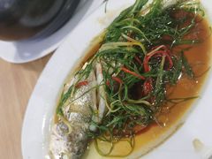 -长平肥姐白粥·海鲜打冷
