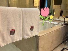 -绍兴上虞雷迪森云锦大酒店