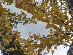 -同济大学(地铁站)