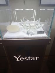 -Yestar艺星医疗美容医院