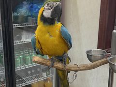 -观桥阁(锦溪店)