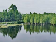 -白鹭湾湿地公园
