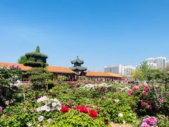 -曹州百花园