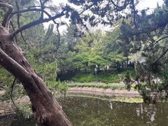 -叶家花园