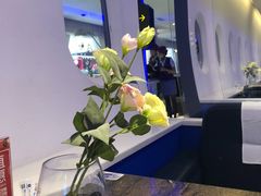 -甜心航空主题餐厅(清远万达广场店)