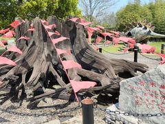 -金钉子远古世界景区