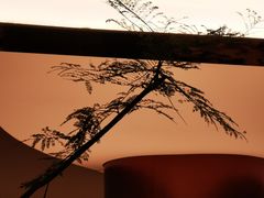 -二酉书店TOYOU BOOKS