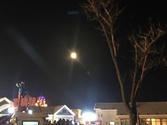 -黑石礁酒楼·海鲜(黑石礁店)