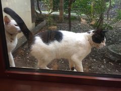 -金石唐风国际温泉会馆