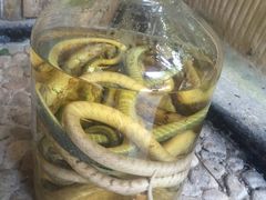 -海南槟榔谷黎苗文化旅游区