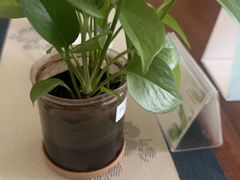 -香蜜轩·粤菜·宴会(世界之窗店)