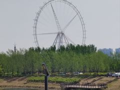 -丁香湖公园
