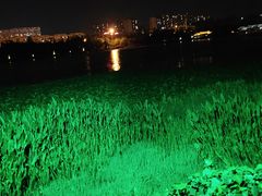 -洛龙公园