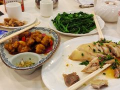 -清新鸡沙田乳鸽店(金融店)