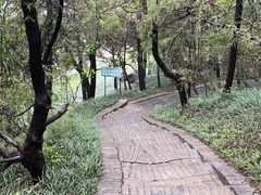 -茂陵博物馆